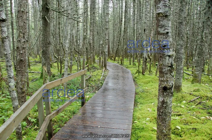 : Canada, Quebec, Havre St. Pierre, Mingan : Canada, Quebec, Havre St. Pierre, Mingan