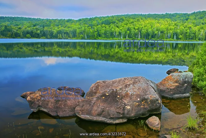 : Canada, Quebec, La Mauricie National Park. Rocks : Canada, Quebec, La Mauricie National Park. Rocks