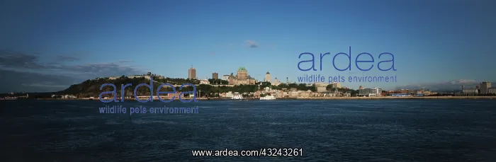 : Canada, Quebec, Quebec City, City view along : Canada, Quebec, Quebec City, City view along