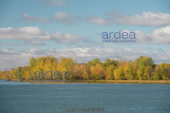 : Canada, Quebec, St. Lawrence River near : Canada, Quebec, St. Lawrence River near