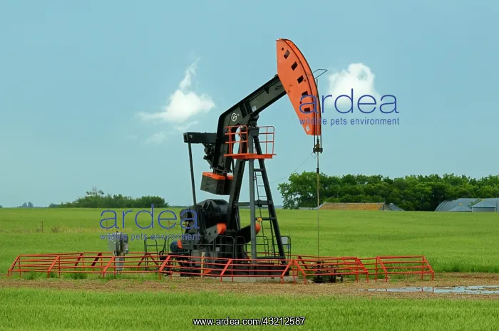 : Canada, Saskatchewan, Carlyle. Oil well : Canada, Saskatchewan, Carlyle. Oil well