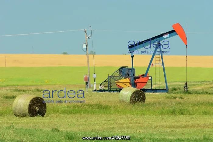 : Canada, Saskatchewan, Carlyle. Oil well : Canada, Saskatchewan, Carlyle. Oil well