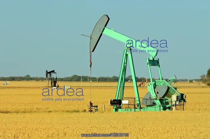 : Canada, Saskatchewan, Carlyle. Oil well : Canada, Saskatchewan, Carlyle. Oil well