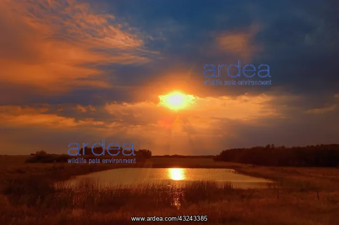 : Canada, Saskatchewan, Dubuc. Sunset over : Canada, Saskatchewan, Dubuc. Sunset over