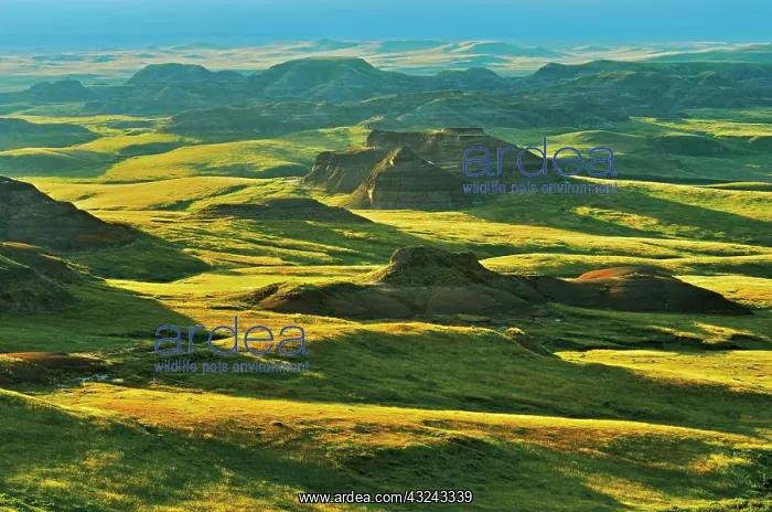 : Canada, Saskatchewan, Grasslands National : Canada, Saskatchewan, Grasslands National