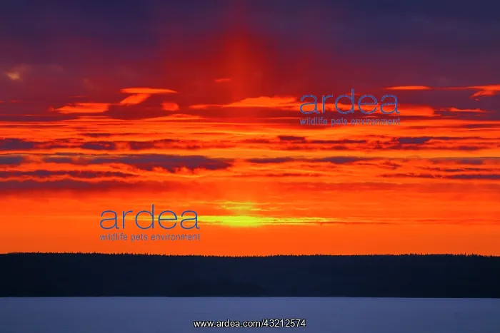 : Canada, Saskatchewan, Prince Albert National : Canada, Saskatchewan, Prince Albert National