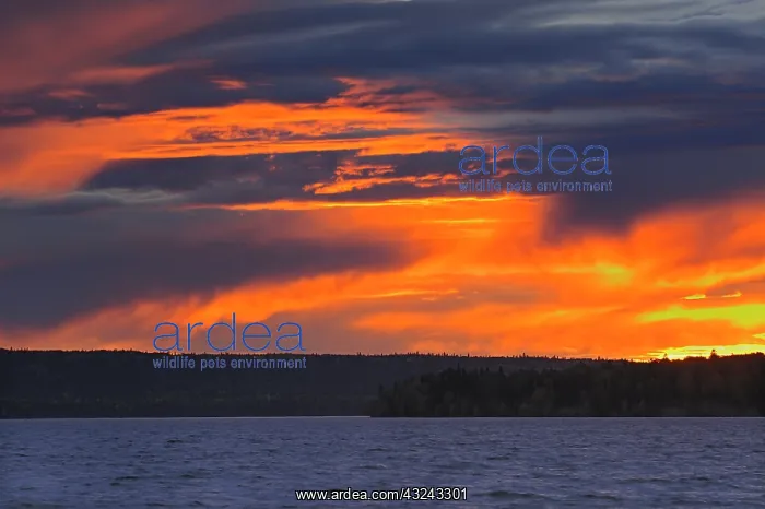 : Canada, Saskatchewan, Prince Albert National : Canada, Saskatchewan, Prince Albert National