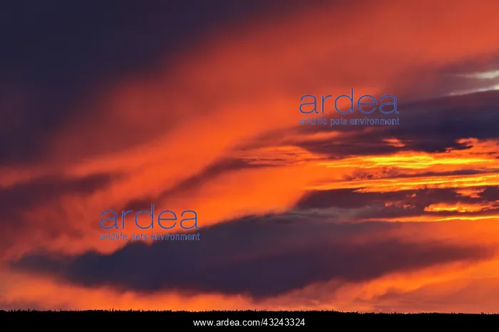 : Canada, Saskatchewan. Storm over Prince : Canada, Saskatchewan. Storm over Prince