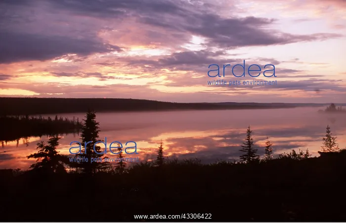 : CANADA - Sunset on Great Slave Lake : CANADA - Sunset on Great Slave Lake