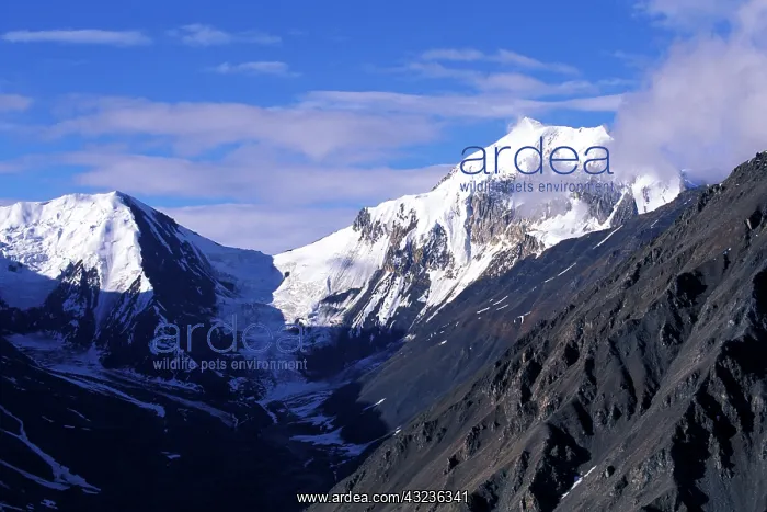 : Canada, Yukon Territory, Kluane National : Canada, Yukon Territory, Kluane National