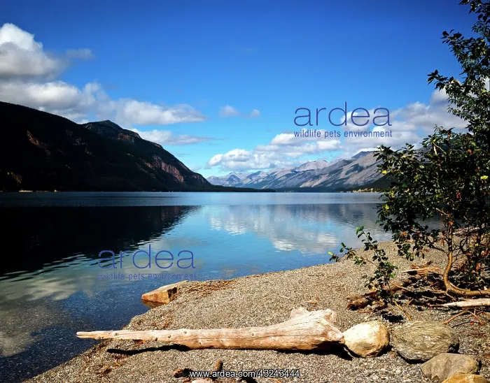 : Canada, Yukon Territory. Teslin Lake along : Canada, Yukon Territory. Teslin Lake along