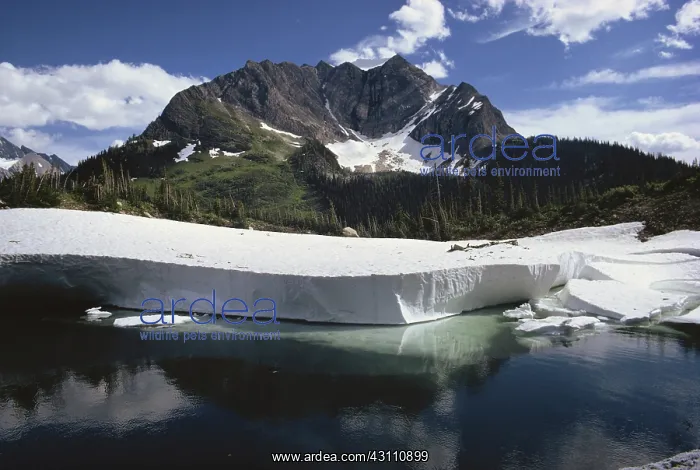 : Canadian Rockies : Canadian Rockies