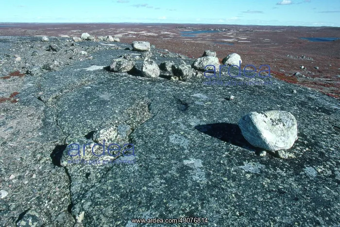 : Canadian Shield Rock : Canadian Shield Rock