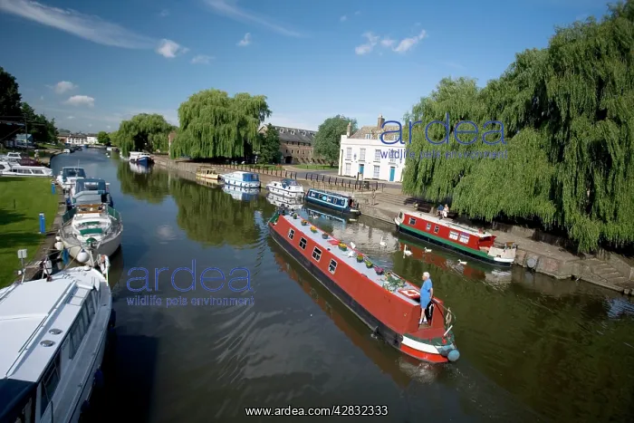 : Canal boats on the River Ouse, Ely, Cambridgeshire, England : Canal boats on the River Ouse, Ely, Cambridgeshire, England