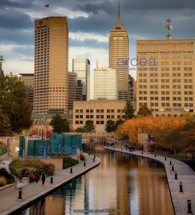 : Canal with downtown view, White River State Park : Canal with downtown view, White River State Park