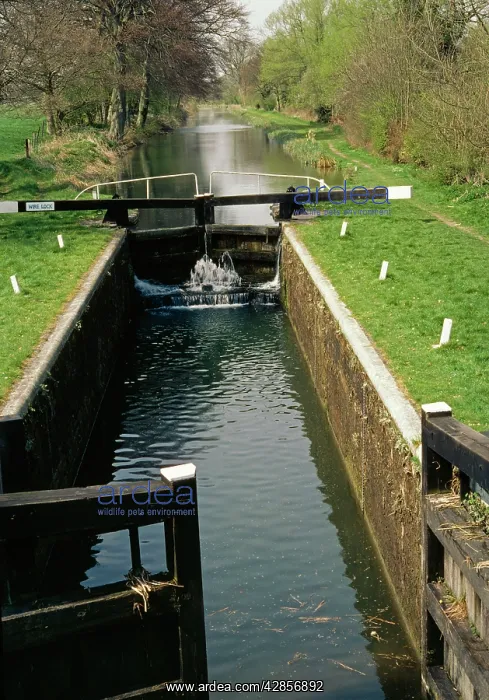  : Canal Lock - Kennet & Avon canal lock near Kintbury
