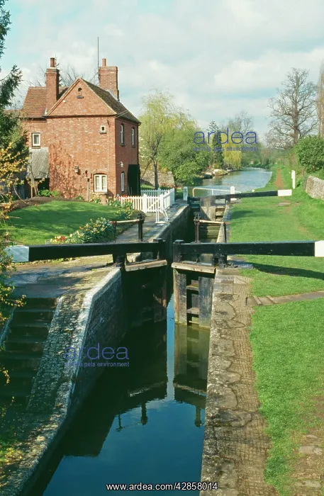 : CANAL - locks on Oxford canal : CANAL - locks on Oxford canal