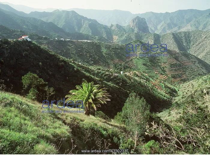 : The Canaries, La Gomera - showing mountains and : The Canaries, La Gomera - showing mountains and