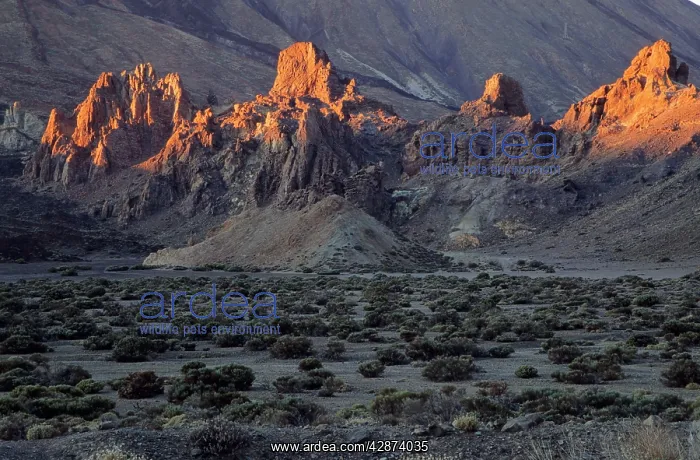 : CANARY ISLANDS - the 'Roques de GarciaI at the : CANARY ISLANDS - the 'Roques de GarciaI at the