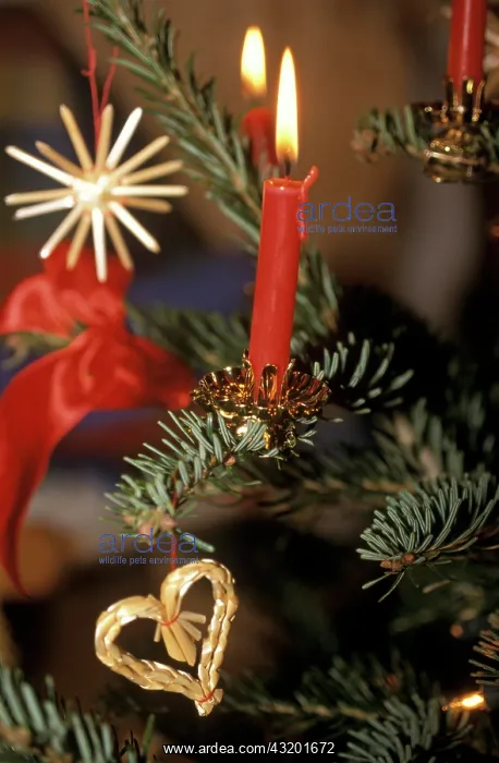 : Candle and straw star on a Christmas tree Kerze : Candle and straw star on a Christmas tree Kerze