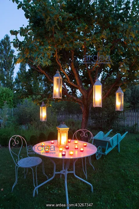 : Candles in a garden by night Le potager la nuit : Candles in a garden by night Le potager la nuit