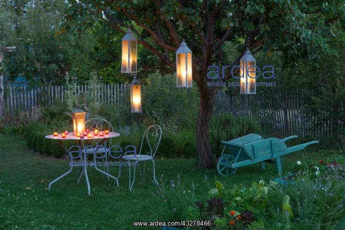 : Candles in a garden by night Le potager la nuit : Candles in a garden by night Le potager la nuit