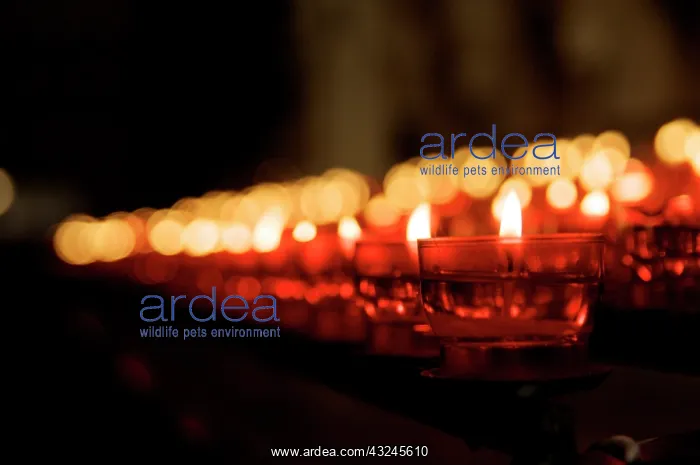 : Candles at Heilig-Bloedbasiliek (Basilica : Candles at Heilig-Bloedbasiliek (Basilica