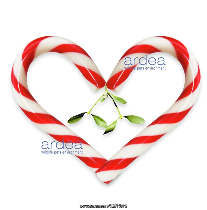  : Candy Cane heart shaped with mistletoe