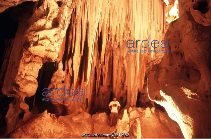 : CANGO CAVES : CANGO CAVES