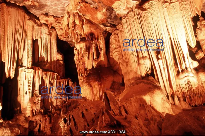 : CANGO CAVES : CANGO CAVES