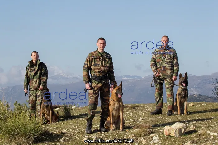  : Canine Crew Mounted Police GIC06 - France