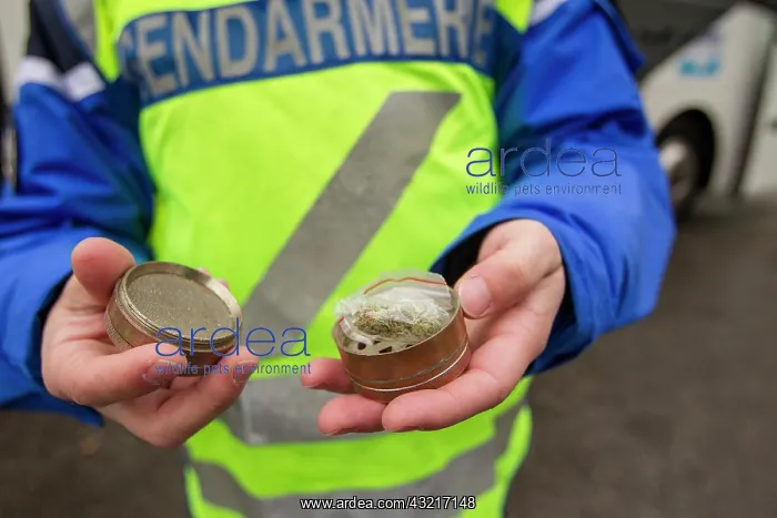 : Take of cannabis during a traffic stop - France : Take of cannabis during a traffic stop - France