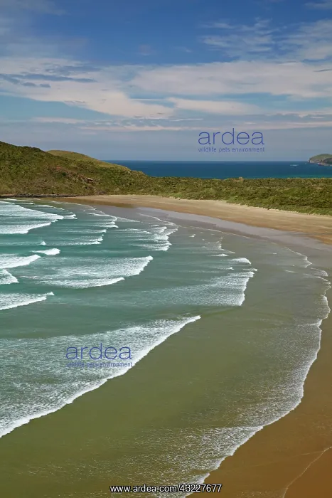 : Cannibal Bay, Catlin District, South Otago : Cannibal Bay, Catlin District, South Otago