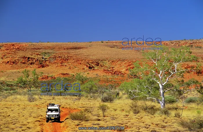 : Canning Stock Rooute with 4WD Little Sandy Desert : Canning Stock Rooute with 4WD Little Sandy Desert