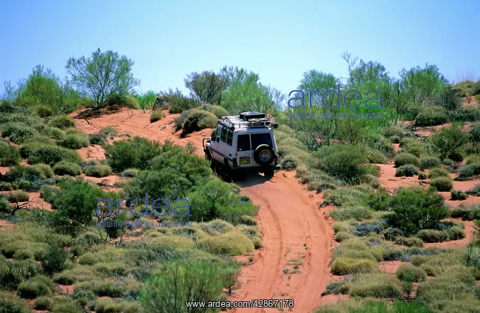 : Canning Stock Route and 4WD vehicle Little Sandy Desert : Canning Stock Route and 4WD vehicle Little Sandy Desert