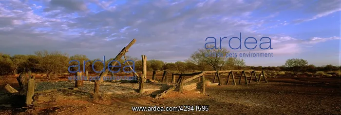 : Well on the Canning Stock Route.Little Sandy Desert : Well on the Canning Stock Route.Little Sandy Desert