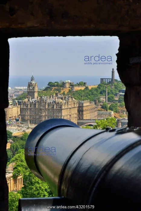 : A cannon aimed at the Balmoral Hotel, Edinburgh : A cannon aimed at the Balmoral Hotel, Edinburgh