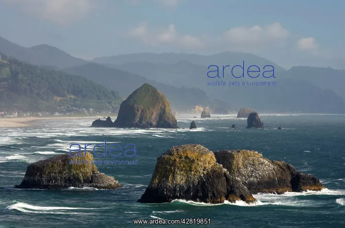  : Cannon Beach and Sea Stacks from Ecola State Park