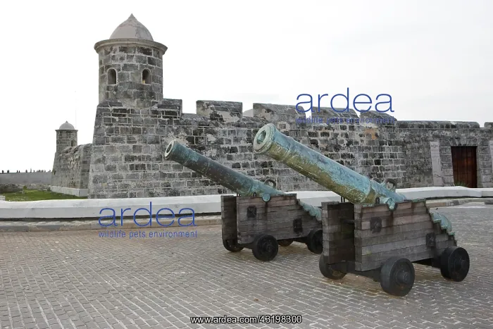 : Cannons at Castillo de Morro, Morro Castle, Havana : Cannons at Castillo de Morro, Morro Castle, Havana