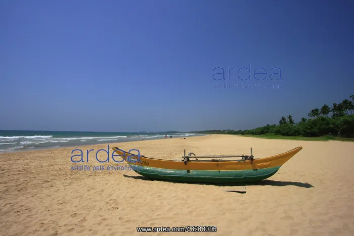 : Canoe, Bentota Beach, Sri Lanka