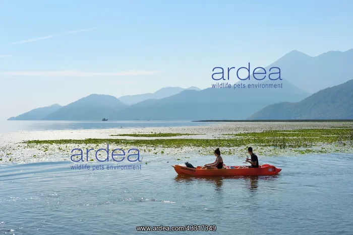 : Canoe on Lake Skadar, National Park Lake Skadar : Canoe on Lake Skadar, National Park Lake Skadar