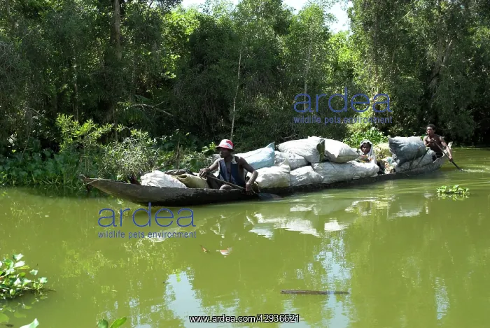 : Canoe full of products from the rural community : Canoe full of products from the rural community