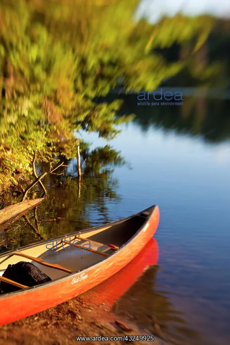 : Canoe on the shore next to Zack Woods Pond : Canoe on the shore next to Zack Woods Pond