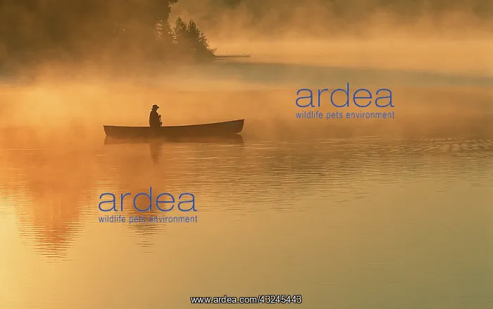 : canoeist, Algonguin Park, Ontario, Canada : canoeist, Algonguin Park, Ontario, Canada
