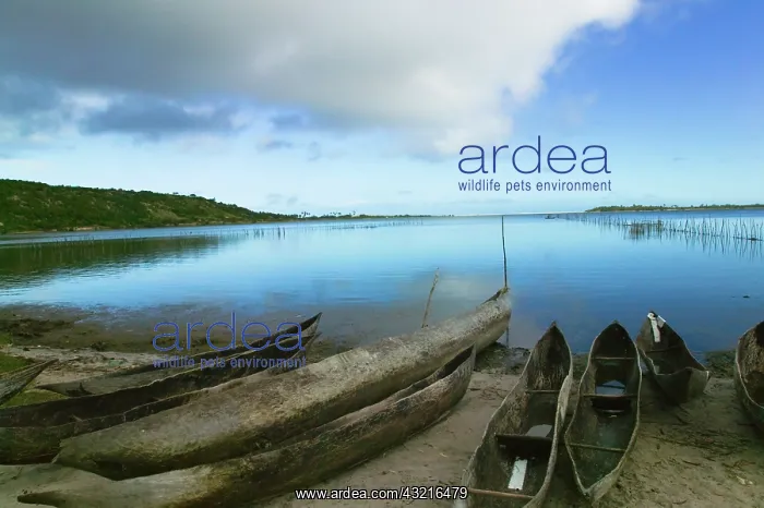 : Canoes on the beach, Antananarivo, Madagascar : Canoes on the beach, Antananarivo, Madagascar