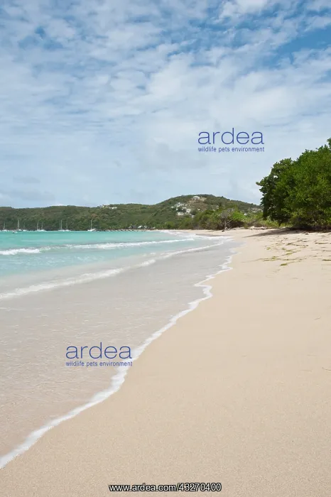 : Canouan Island, St. Vincent and the Grenadines : Canouan Island, St. Vincent and the Grenadines