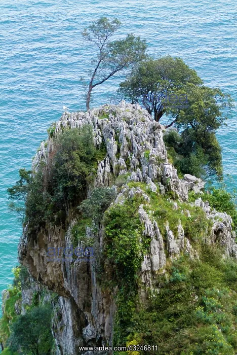 : Cantabria. Landscape from Faro del Caballo : Cantabria. Landscape from Faro del Caballo