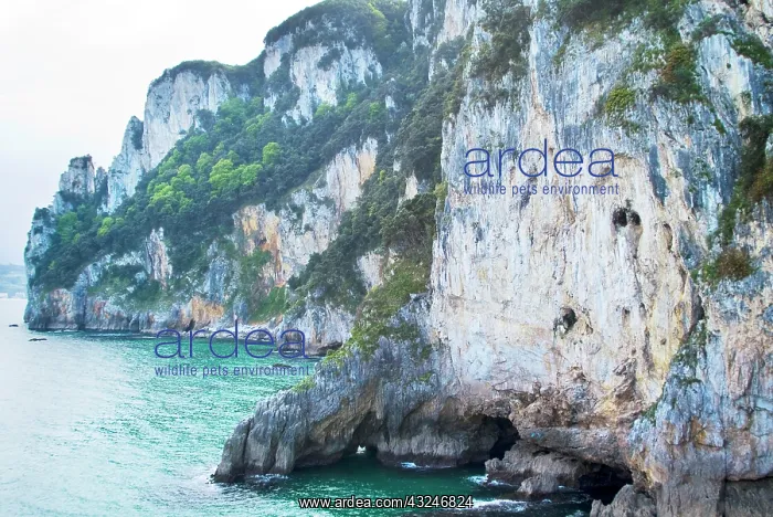 : Cantabria. Landscape from Faro del Caballo : Cantabria. Landscape from Faro del Caballo