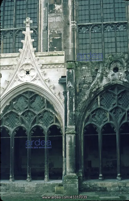 : Canterbury Cathedral Stonework damaged by acid rain : Canterbury Cathedral Stonework damaged by acid rain