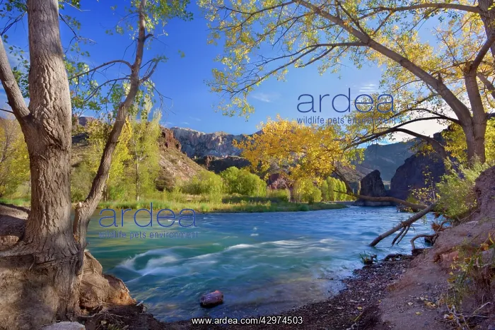 : Canyon de Atuel - Atuel river flows through Atuel : Canyon de Atuel - Atuel river flows through Atuel